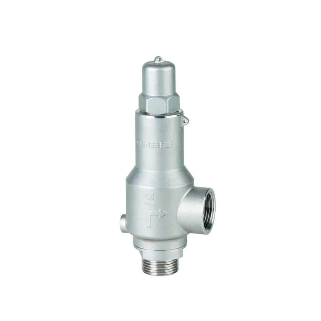 Válvula de seguridad roscada, conexión con rosca NPT